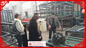 MgO Board Production Line , Fully Auto Mixing System Gypsum Board Manufacturing Machine