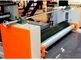 6 Layer Fiber Glass Mesh Sanding Mgo Board Production Line Producing Wall Panels